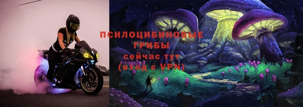 PSILOCYBIN Абаза
