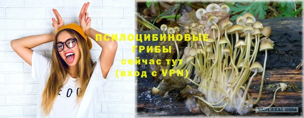 PSILOCYBIN Абаза