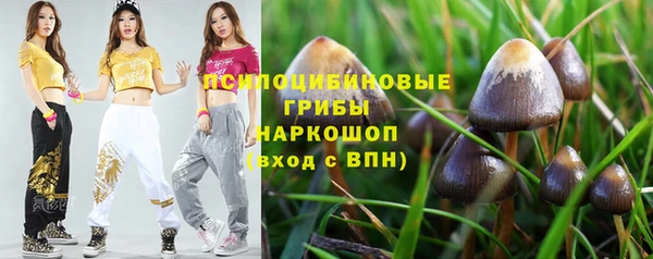 PSILOCYBIN Абаза